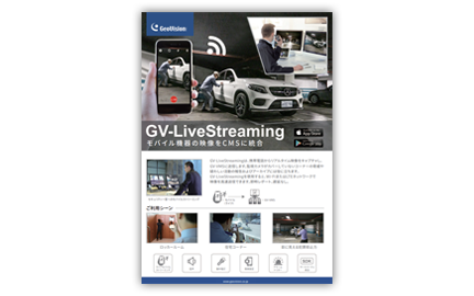 GV-Live Streaming